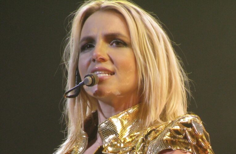 Брітні Спірс показала своїх дорослих синів