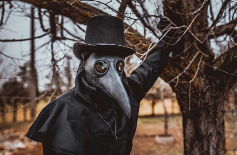 Чорна смерть у Європі: вчені пояснили зникнення рослин