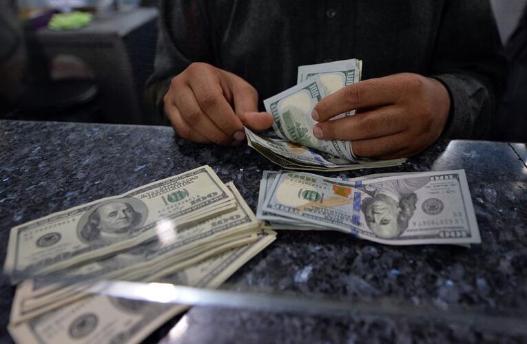 Долар і євро стабілізувалися в обмінних пунктах