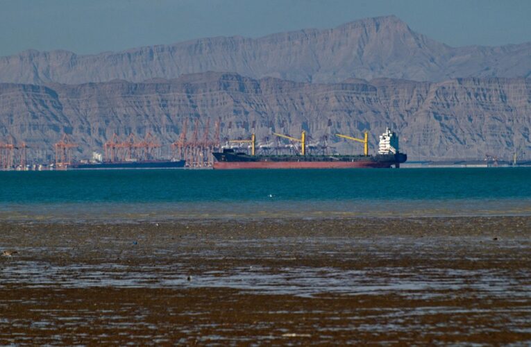 Індія купила в Ірану нафту після зняття санкцій США – ЗМІ