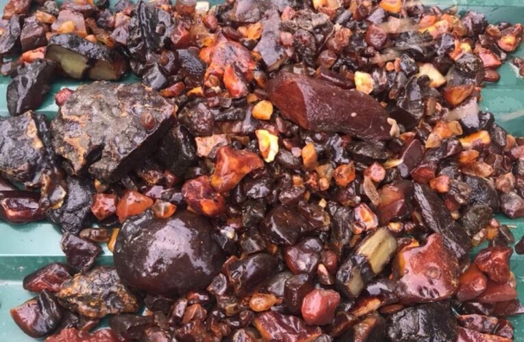 На Рівненщині викрили схему видобутку бурштину на сотні мільйонів