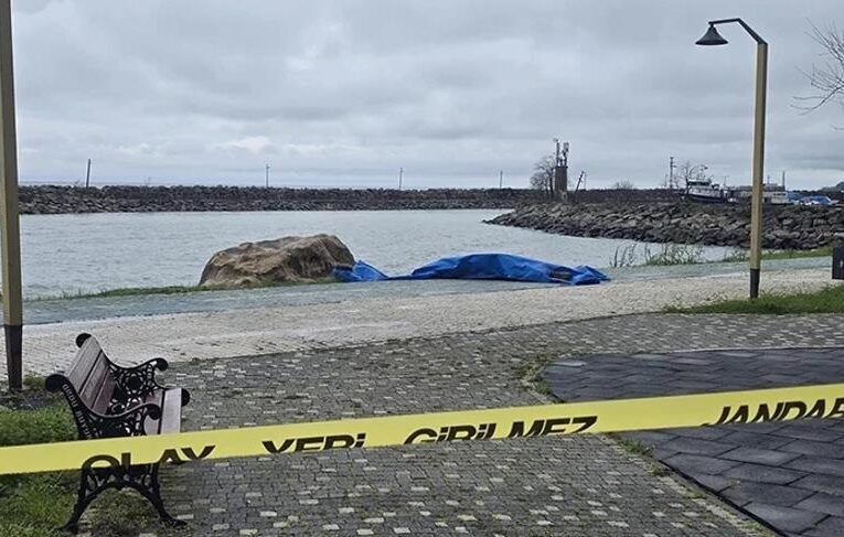 На узбережжі Туреччини виявили двохметровий дрон