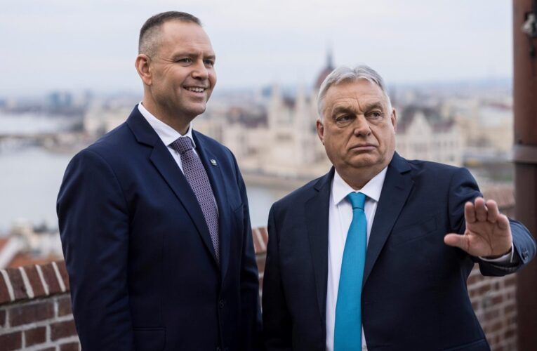 Навроцький зустрівся з Орбаном у Будапешті