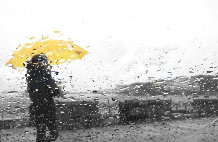 Невеликі дощі й вітер: якої погоди очікувати найближчими днями