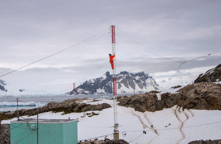 Пінгвіни, птахи і тюлень: українські полярники перемогли у фотоконкурсі