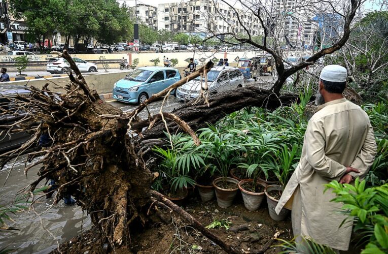 Потужні зливи у Пакистані спричинили загибель шістьох осіб
