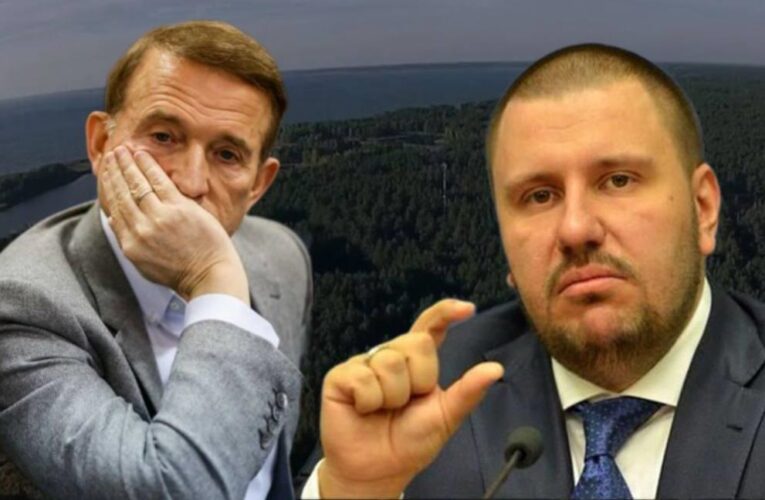 Пов&rsquo;язані з Медведчуком і Клименком землі на Київщині повернули державі