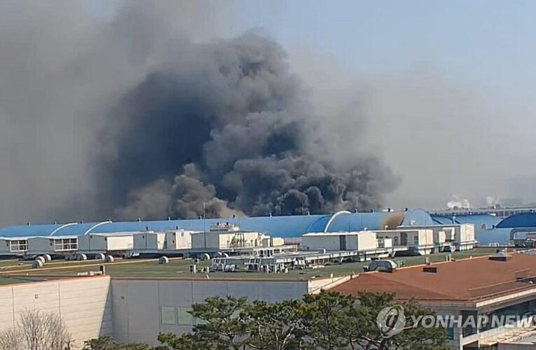 Пожежа на заводі у Південній Кореї: відомо про 10 загиблих