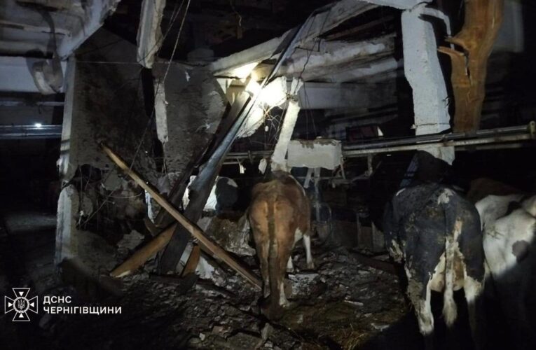 РФ атакувала сільгосппідприємство на Чернігівщині