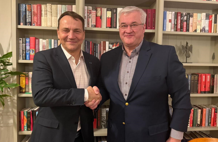 Сибіга та Сікорський обговорили підтримку України