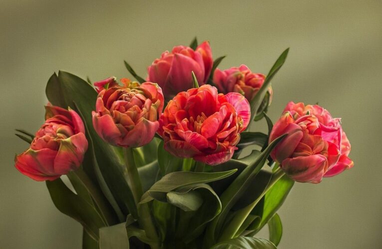 Свята 10 березня 2026: які заборони та події