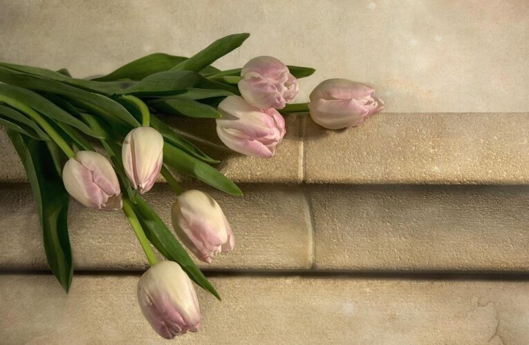 Свята 13 березня 2026: факти, традиції, іменини