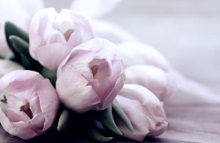 Свята 16 березня 2026: факти, традиції, прикмети