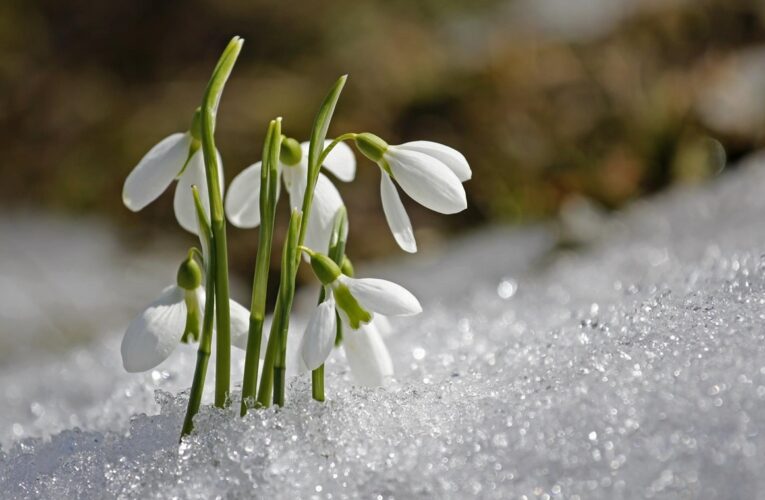 Свята 19 березня 2026 року: факти, події, заборони