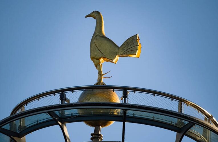 Травмований гравець Тоттенгема може стати тренером