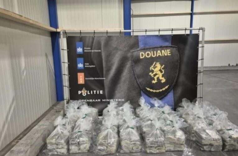 У Нідерландах знайшли 400 кг кокаїну в бананах