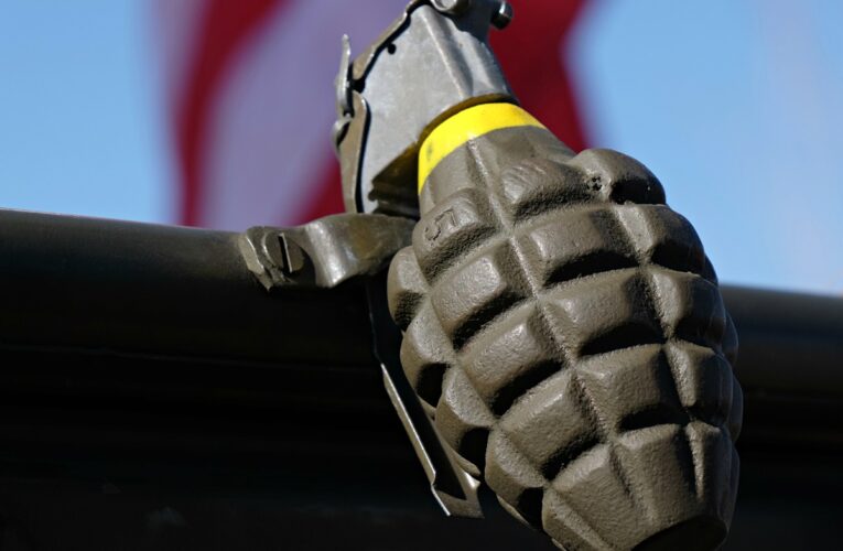 У Швеції вилучили рекордну партію бойових гранат