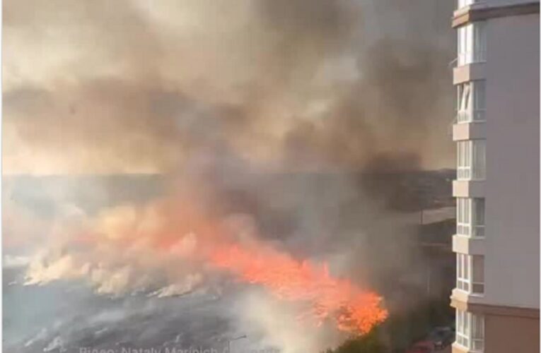 У Софіївській Борщагівці вирує масштабна пожежа