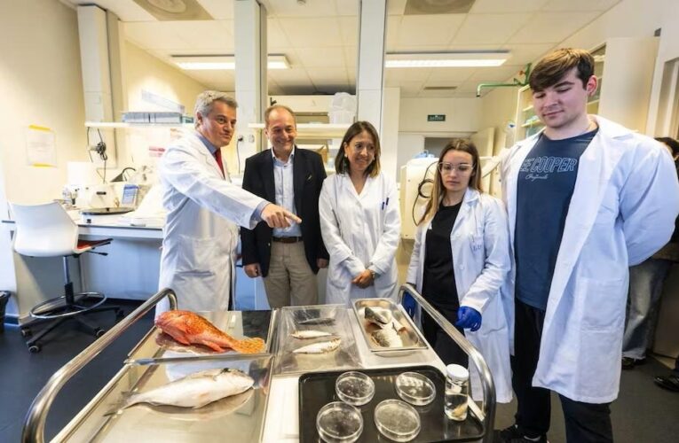 В Іспанії створили штучну рогівку з риб&rsquo;ячої луски