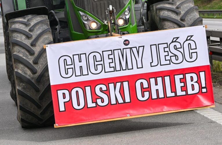 В Польщі заблокувала майже 60 тонн агропродукції України