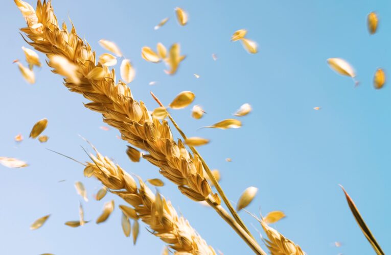 Війна в Ірані розганяє ціни на продовольство