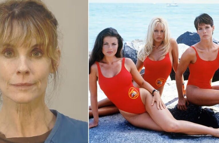 Визволила біглів. Зірку серіалу Рятувальники Малібу заарештували