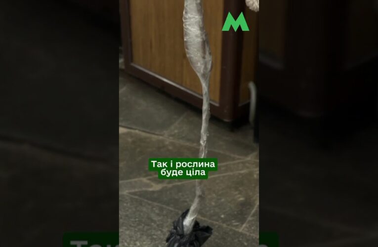 Як перевозити саджанці у столичному метро: правила