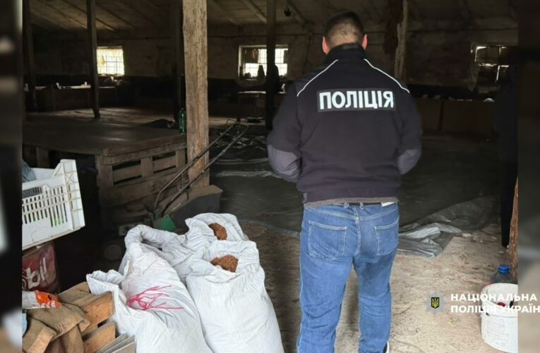 Від поля до «чорного» ринку: ДСР Нацоліції ліквідував незаконний канал постачання тютюну