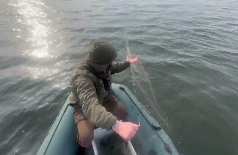 ❗️ На водоймах Рівненщини розпочалася нерестова заборона