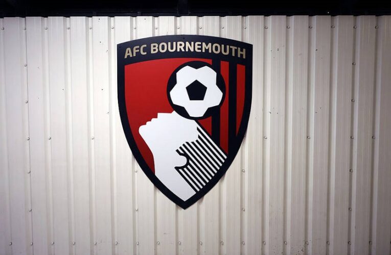 Борнмут готовий змінити тренера після закінчення сезону і вивчає кандидатів