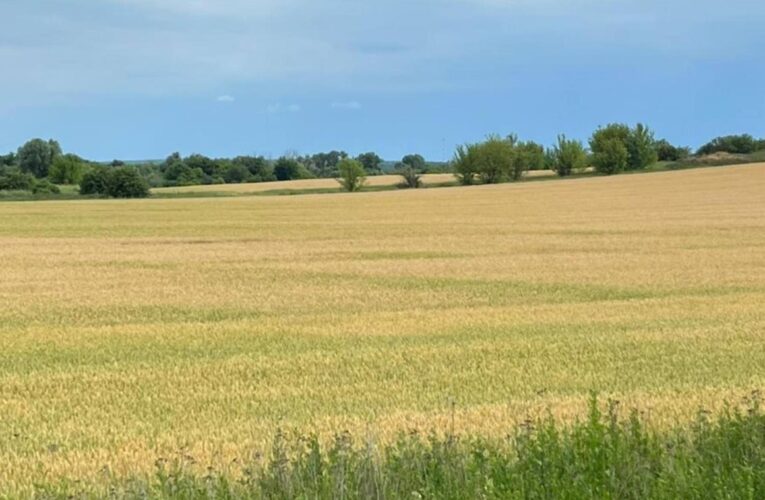 Державі повернули понад 500 га особливо цінних земель НААН