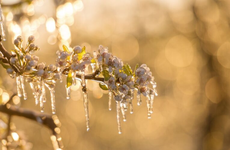 Дощі та заморозки прогнозують на Великдень