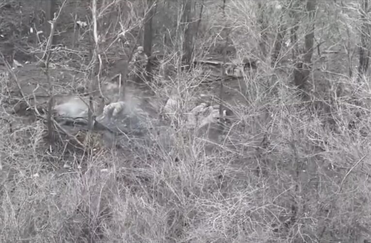 Двоє бійців ЗСУ взяли в полон вісьмох окупантів