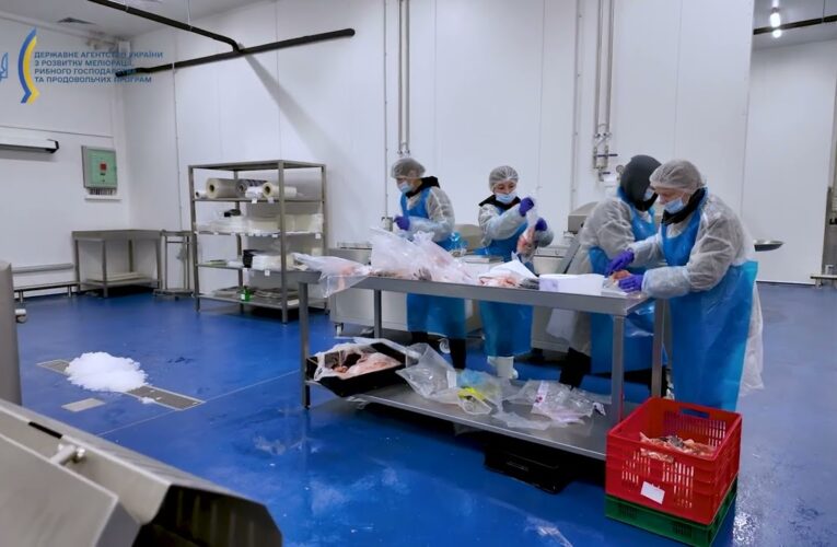 ❗️ Рибопереробка – від вилову до вашого столу