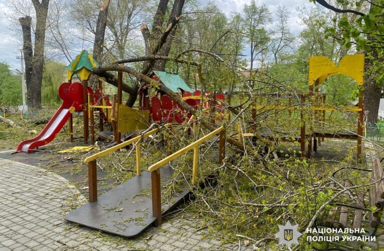 На Буковині дерева впали на дитячий майданчик: травмувалися двоє дітей