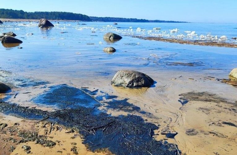 Під атакованою Усть-Лугою виявили величезну нафтову пляму – ЗМІ