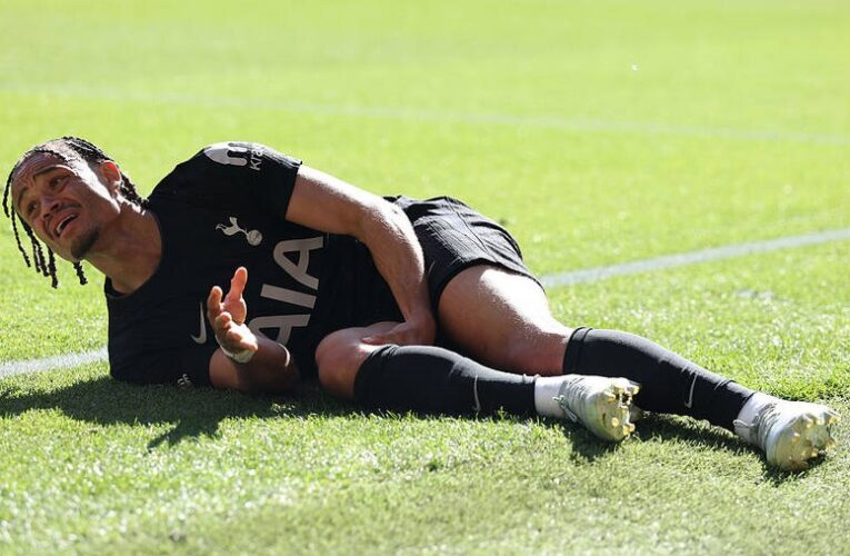 Півзахисник Тоттенгема вибув через серйозну травму