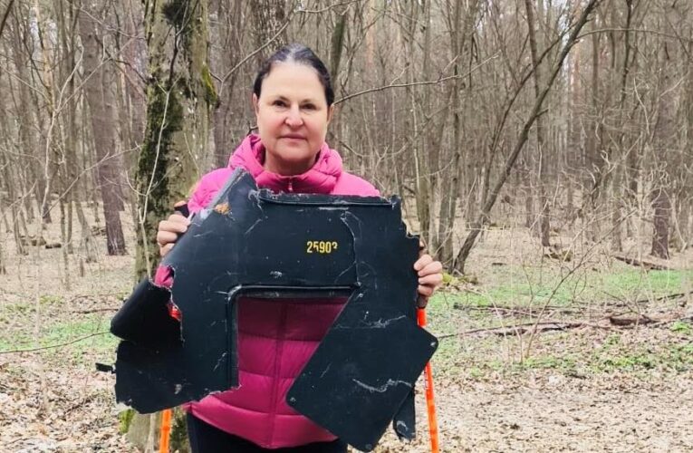 Посол ЄС знайшла уламок “шахеда” у київському лісі