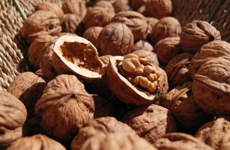 Суперфуд: схуднення й боротьба з Альцгеймером у жмені горіхів