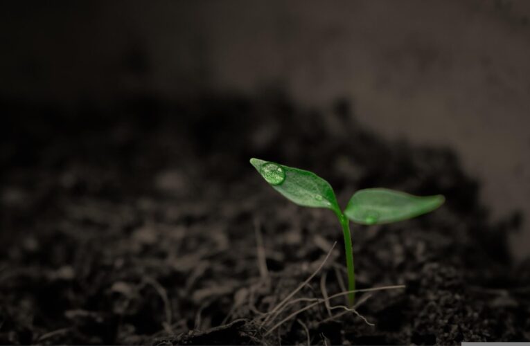 Суперкомп&rsquo;ютер NASA назвав приблизну дату кінця життя на Землі