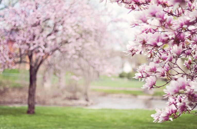 Свята 20 квітня 2026 року: іменини, прикмети