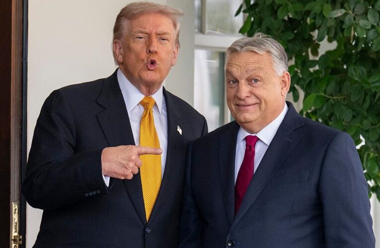 Трамп відкинув хвилювання через поразку Орбана і дав оцінку Мадяру