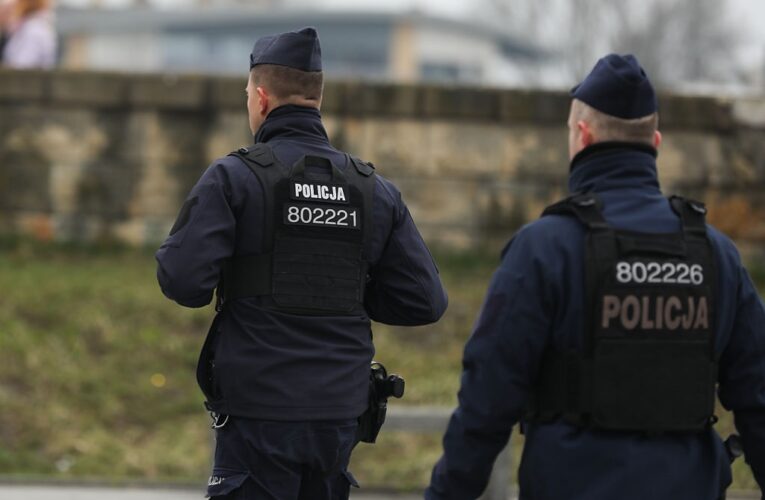 У Польщі затримали двох громадян за підпал заводу у Чехії