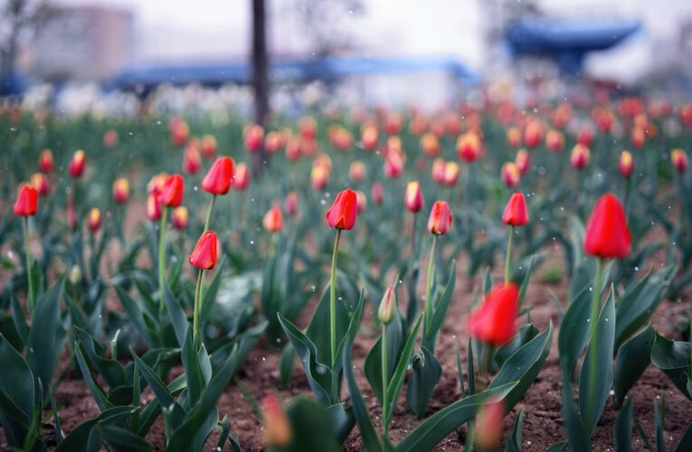 Українців попередили про різке похолодання