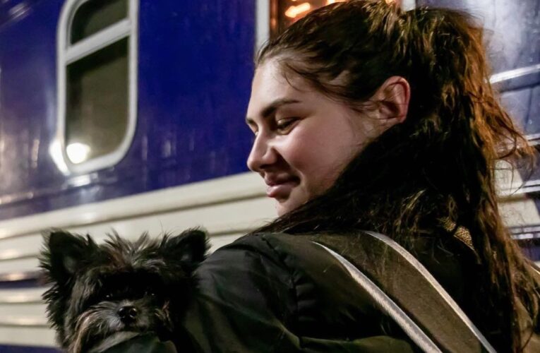 Укрзалізниця додала жіночі вагони у трьох поїздах