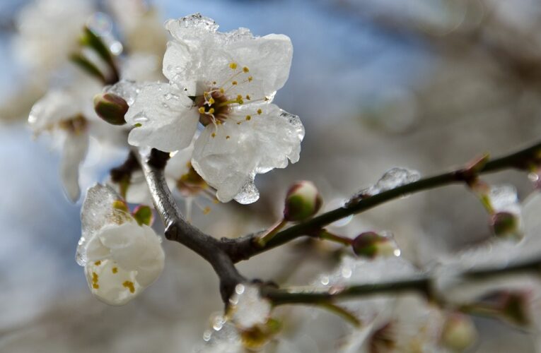В Україні прогнозують подальше похолодання