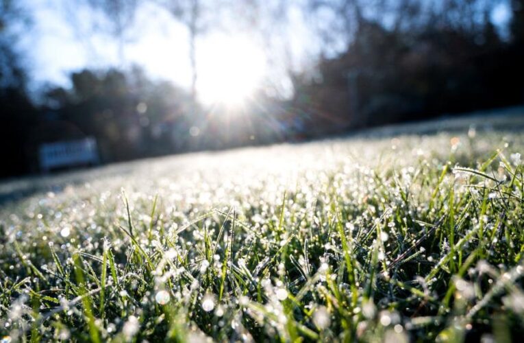 В Україну повертаються заморозки і мокрий сніг