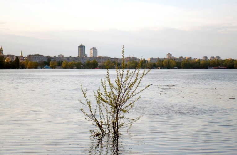 В Укренерго скасували відключення на понеділок