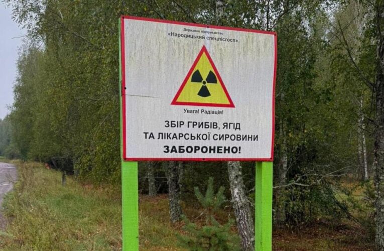 Викрито організаторів здачі в оренду земель Чорнобильської зони