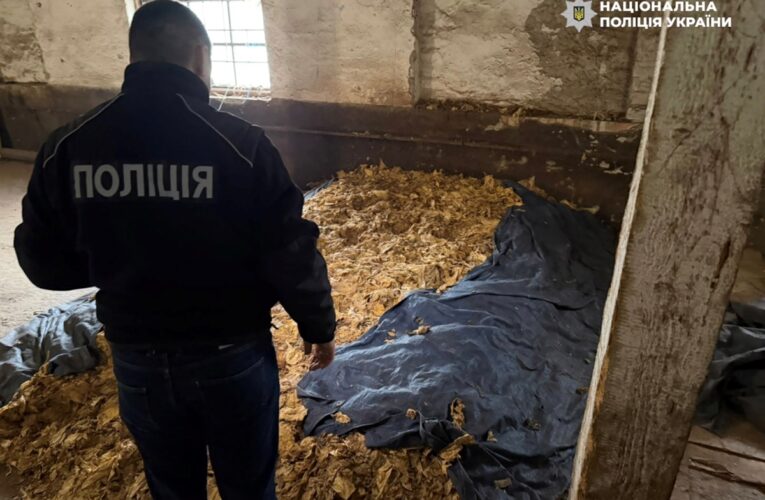 Викрито схему повного циклу виробництва нелегального тютюну на Закарпатті